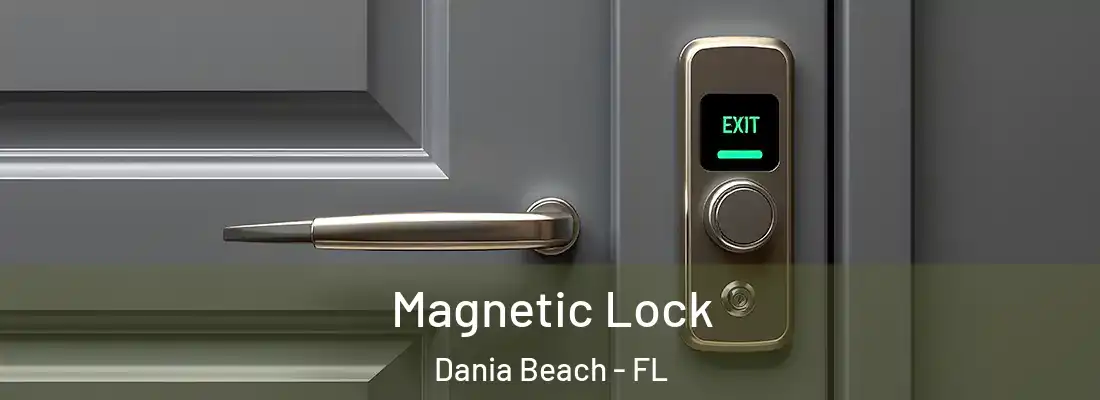 Magnetic Lock Dania Beach - FL